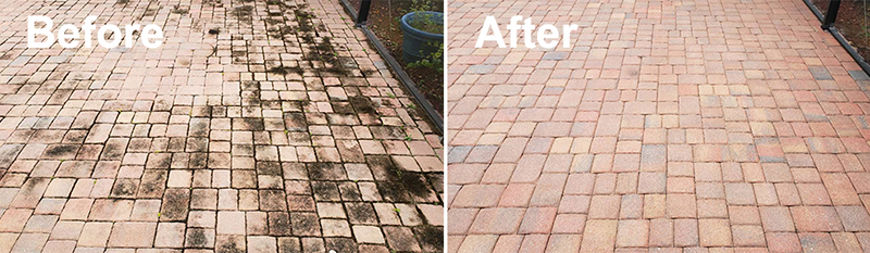 Paver Cleaning Before and After