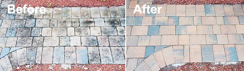 Paver Cleaning Before and After